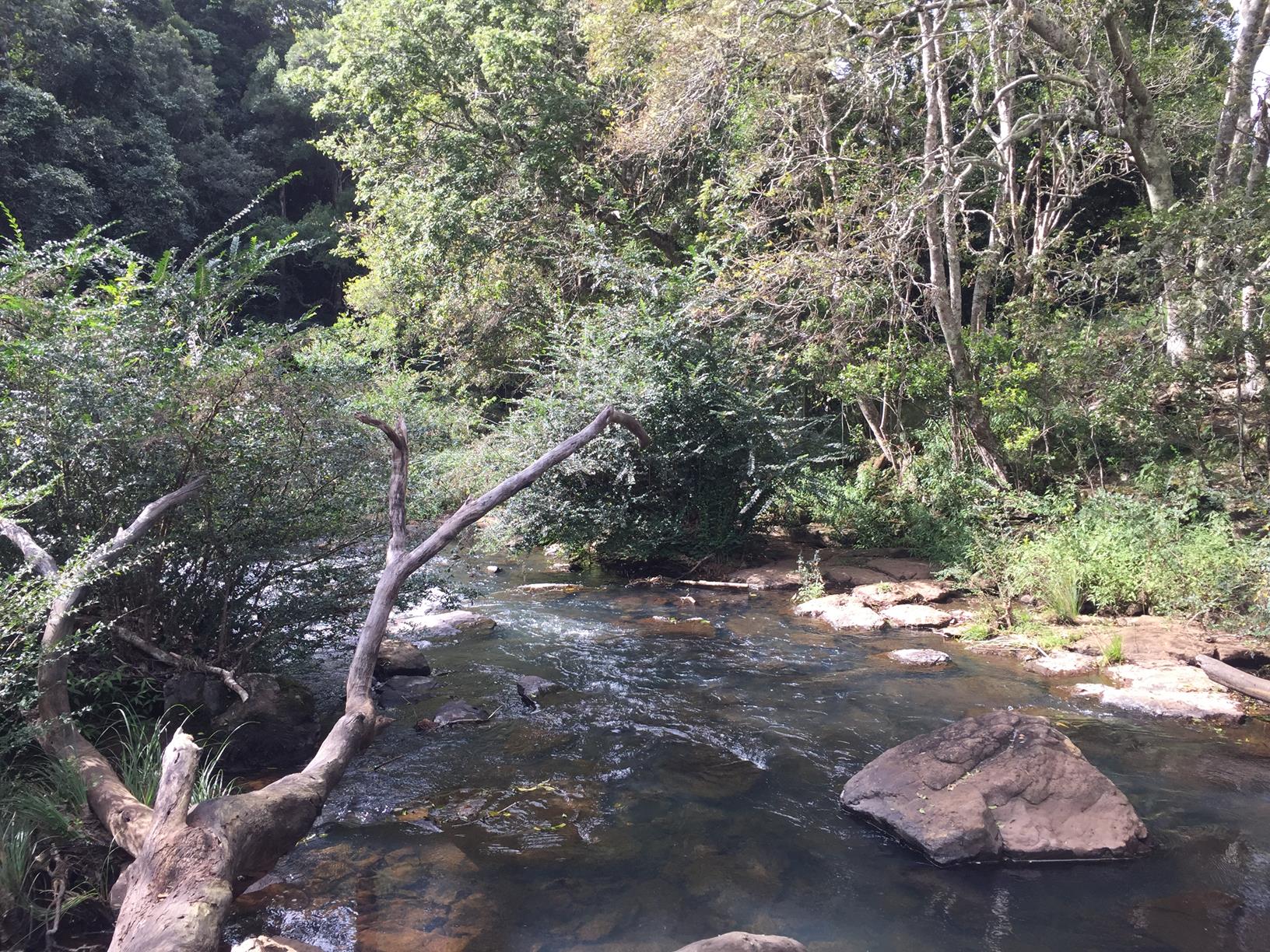 Maleny Trail to Reynolds Crossing Adventure Sunshine Coast